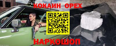 кокс Кандалакша