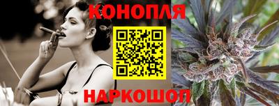 прущие грибы Камышлов