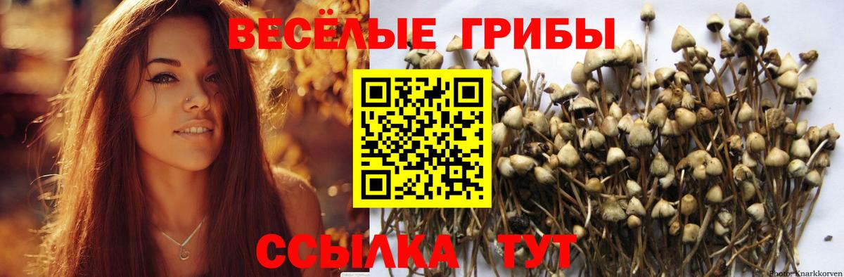 Псилоцибиновые грибы Cubensis  Вход с VPN  Лянтор  Галлюциногенные грибы MAGIC MUSHROOMS 